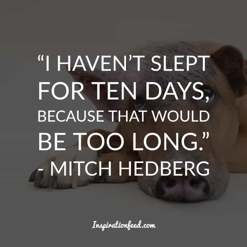 Mitch Hedberg Quotes