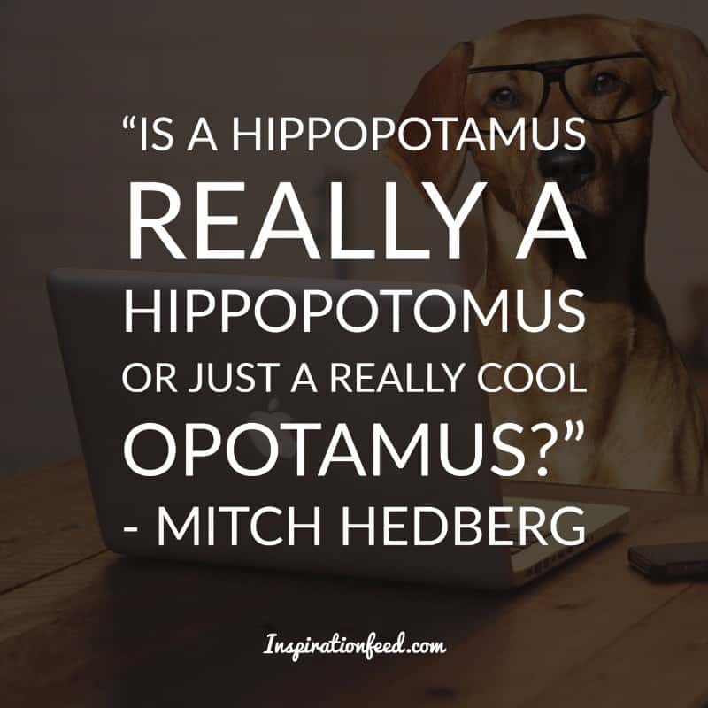 Mitch Hedberg Quotes