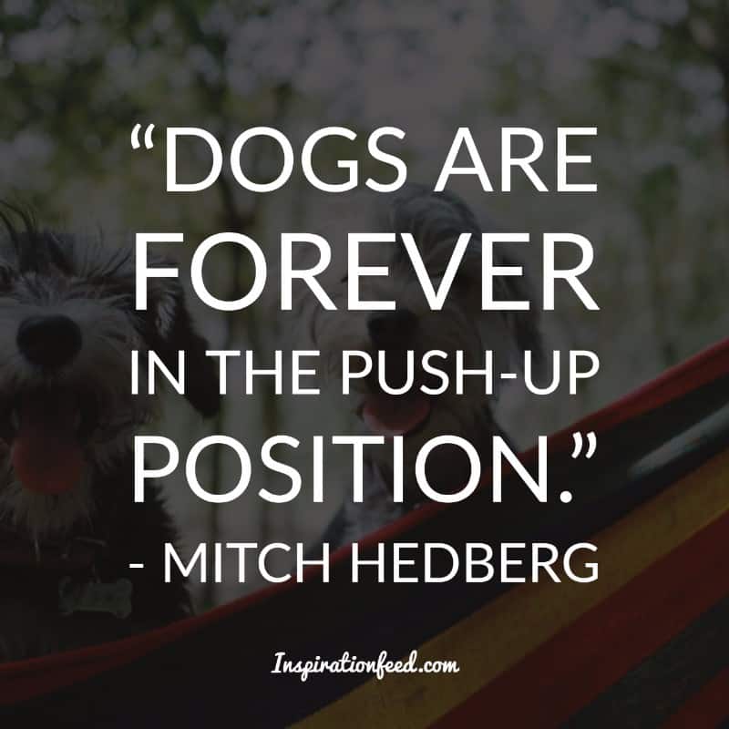 Mitch Hedberg Quotes