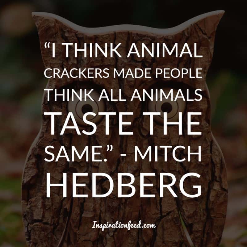 Mitch Hedberg Quotes