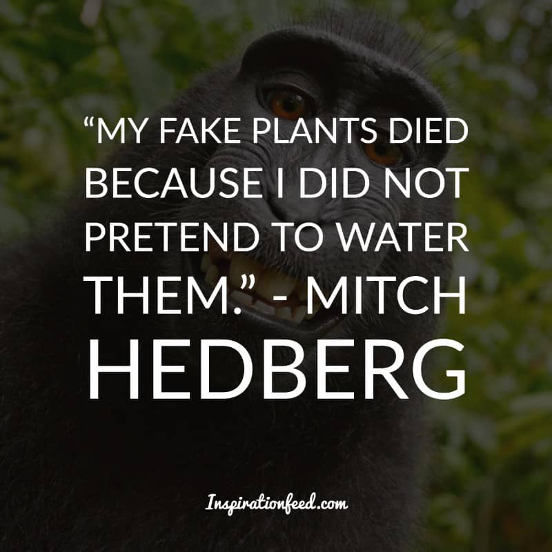 Mitch Hedberg Quotes