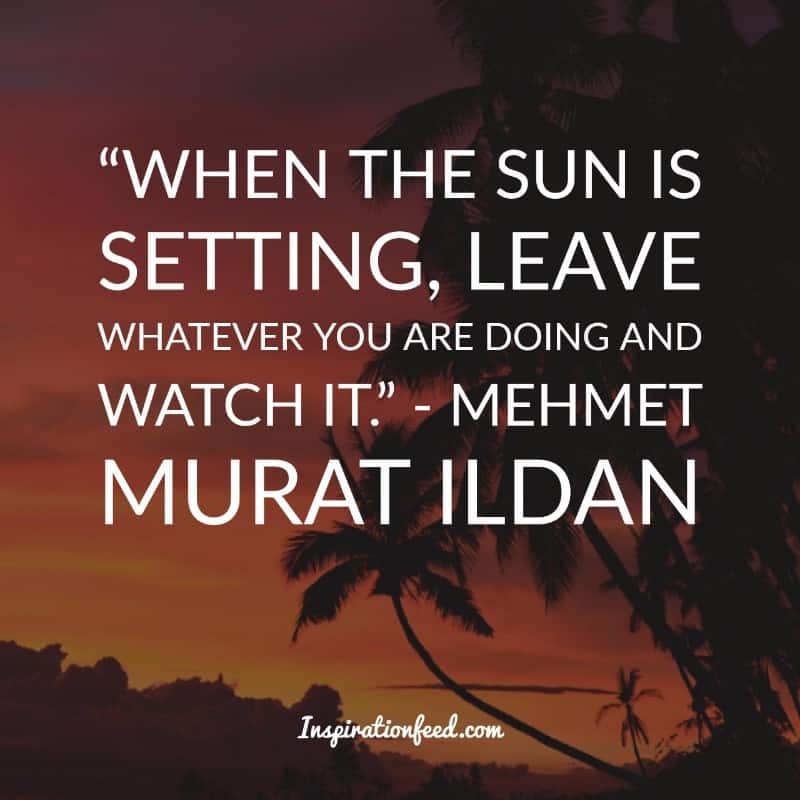 Delightful Sunset Quotes