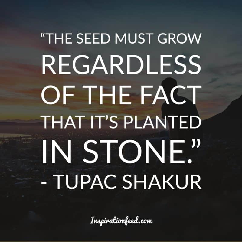 Tupac Shakur quotes