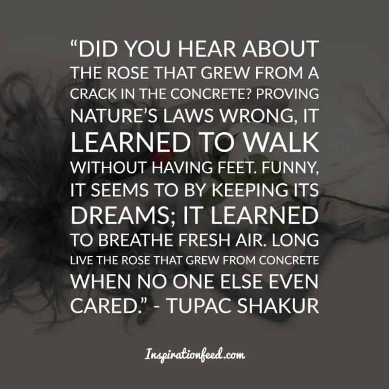 Tupac Shakur quotes