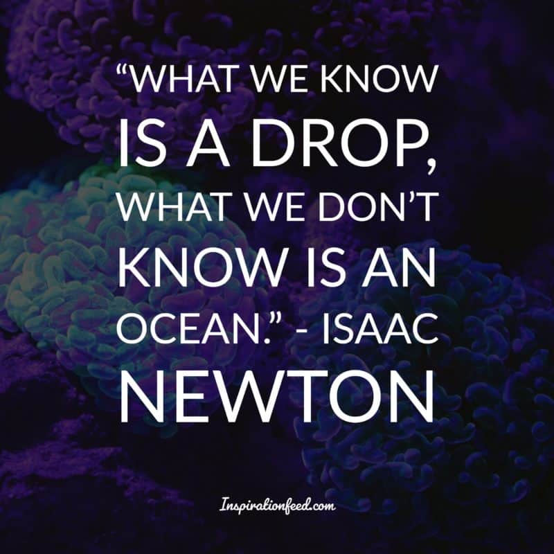 Isaac Newton Quotes