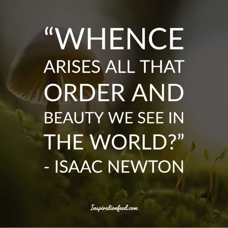 Isaac Newton Quotes