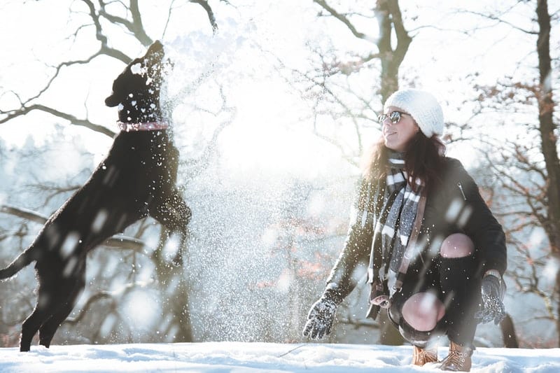 Woman palying in the snow with her dog