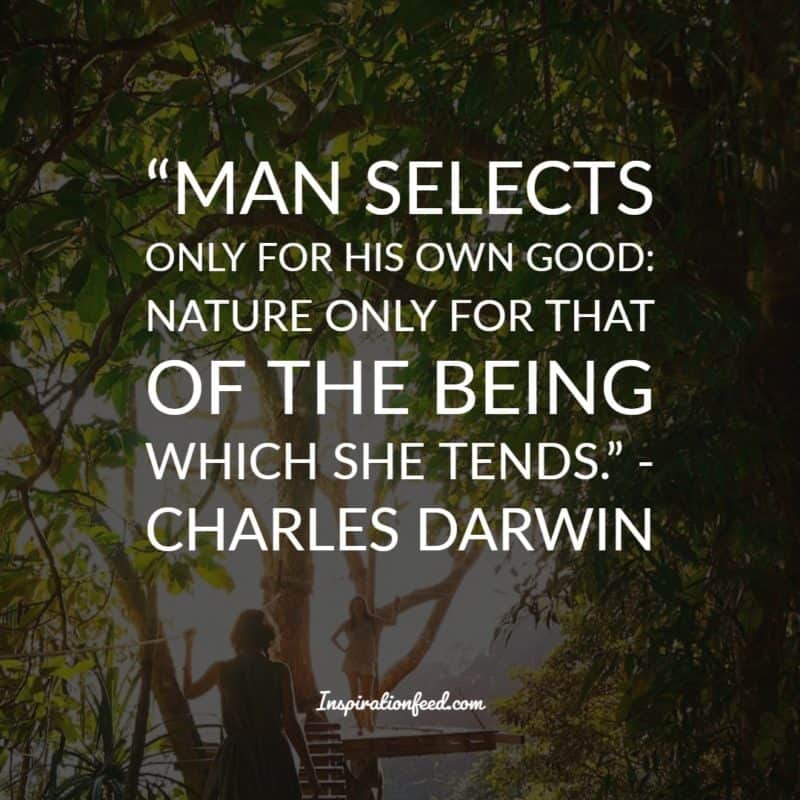 Charles Darwin Quotes