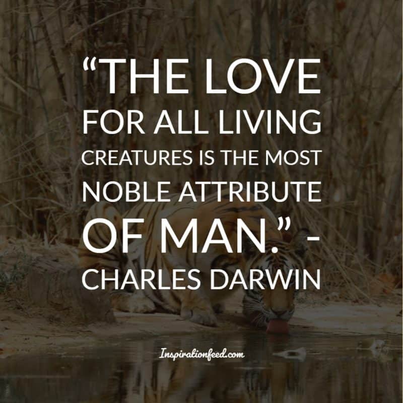 Charles Darwin Quotes