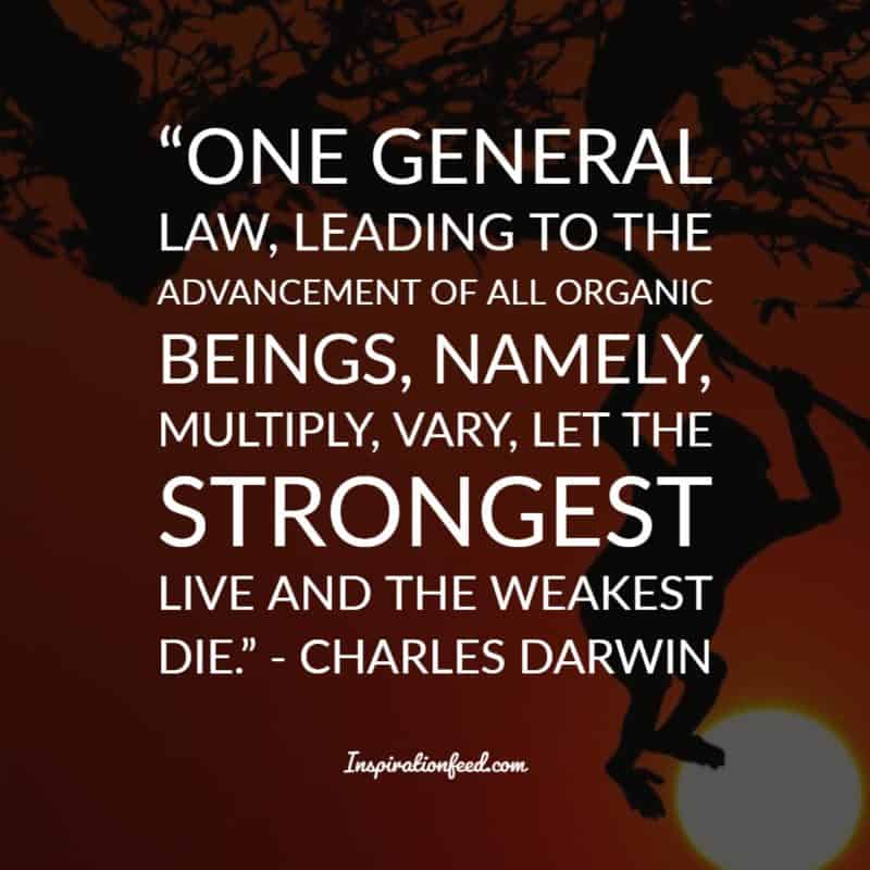 Charles Darwin Quotes