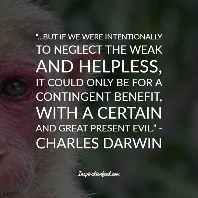 Charles Darwin Quotes