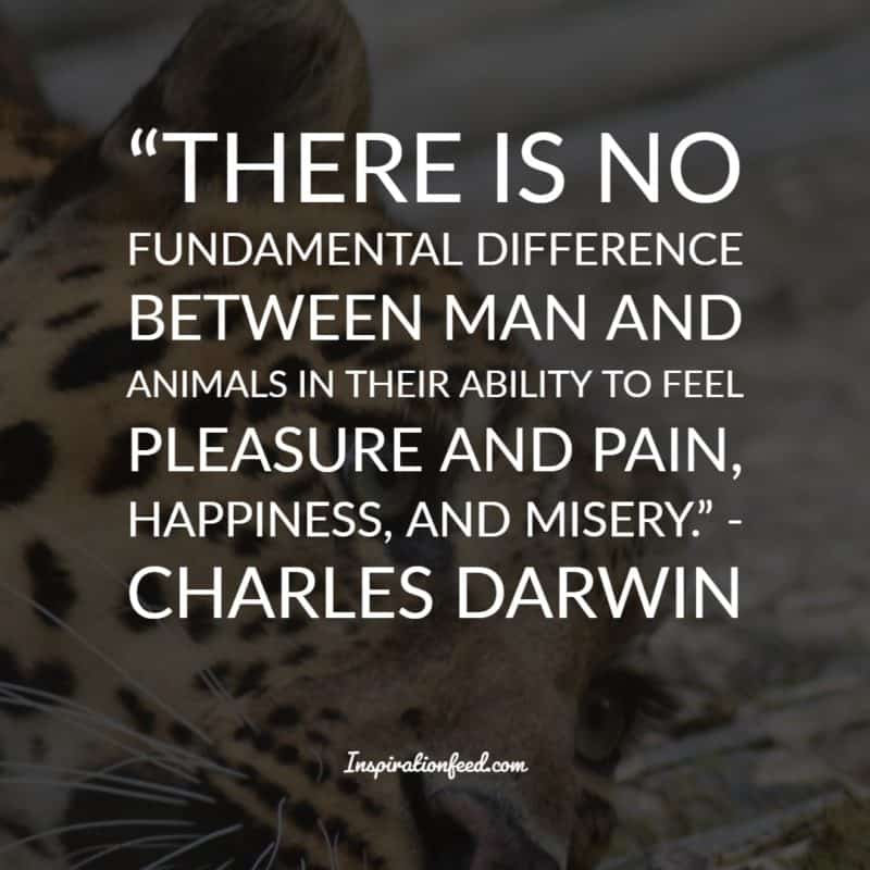 Charles Darwin Quotes