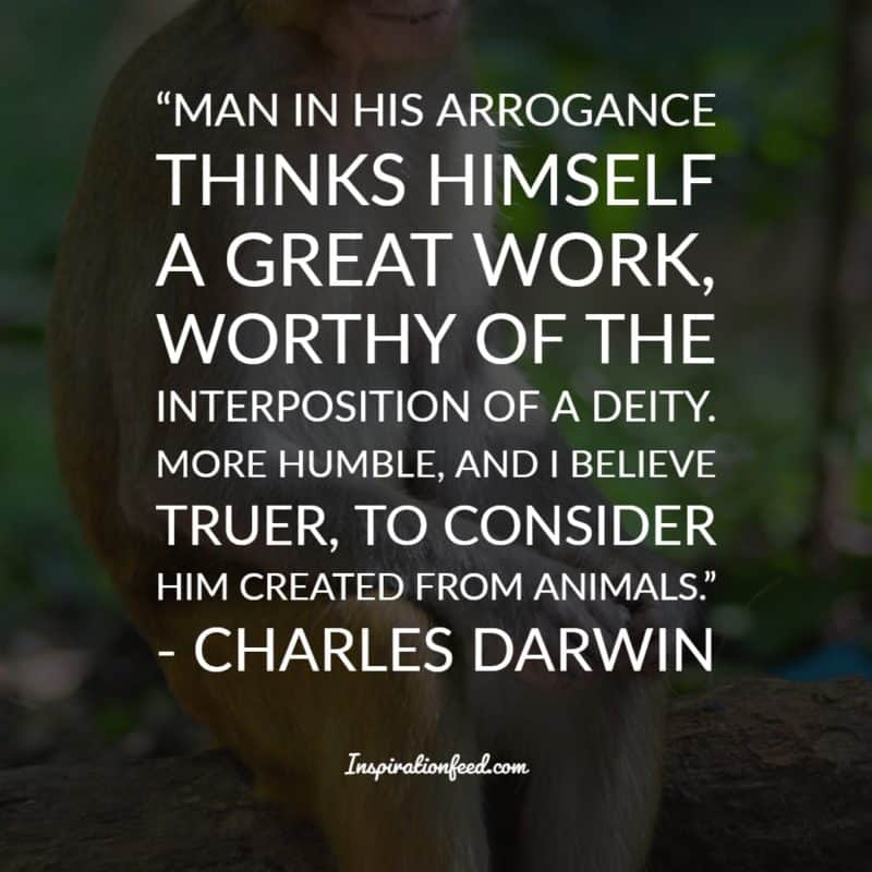 Charles Darwin Quotes