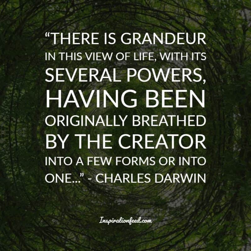 Charles Darwin Quotes