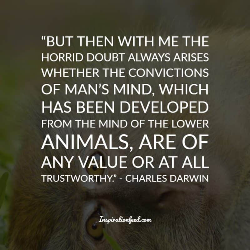 Charles Darwin Quotes