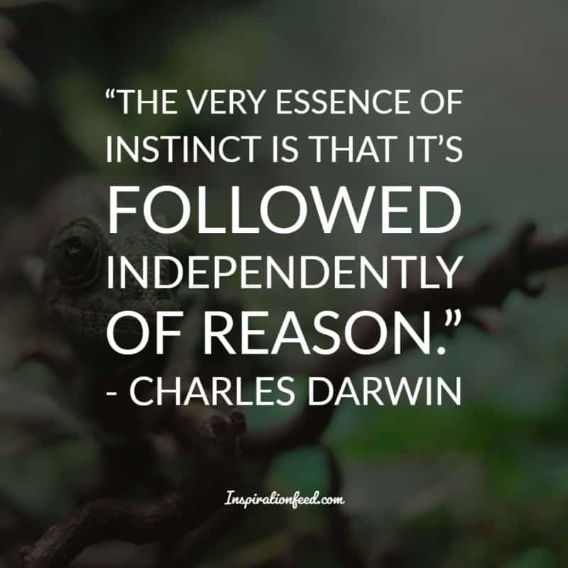 Charles Darwin Quotes