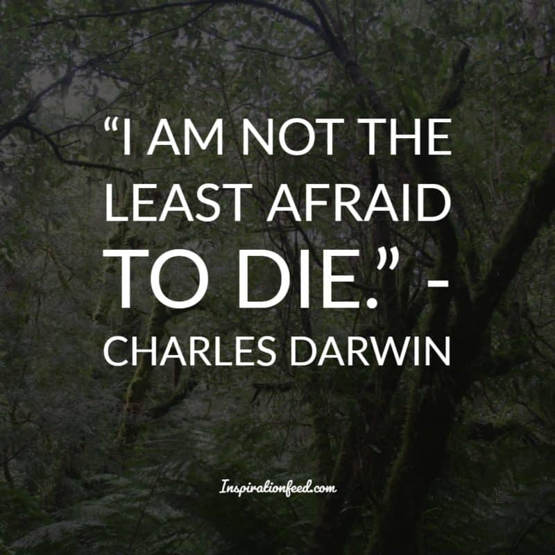 Charles Darwin Quotes