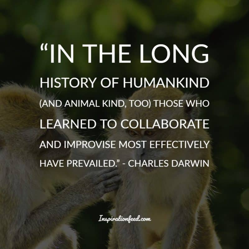 Charles Darwin Quotes