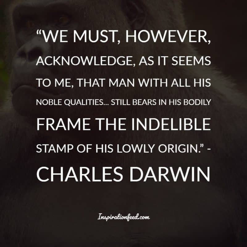 Charles Darwin Quotes