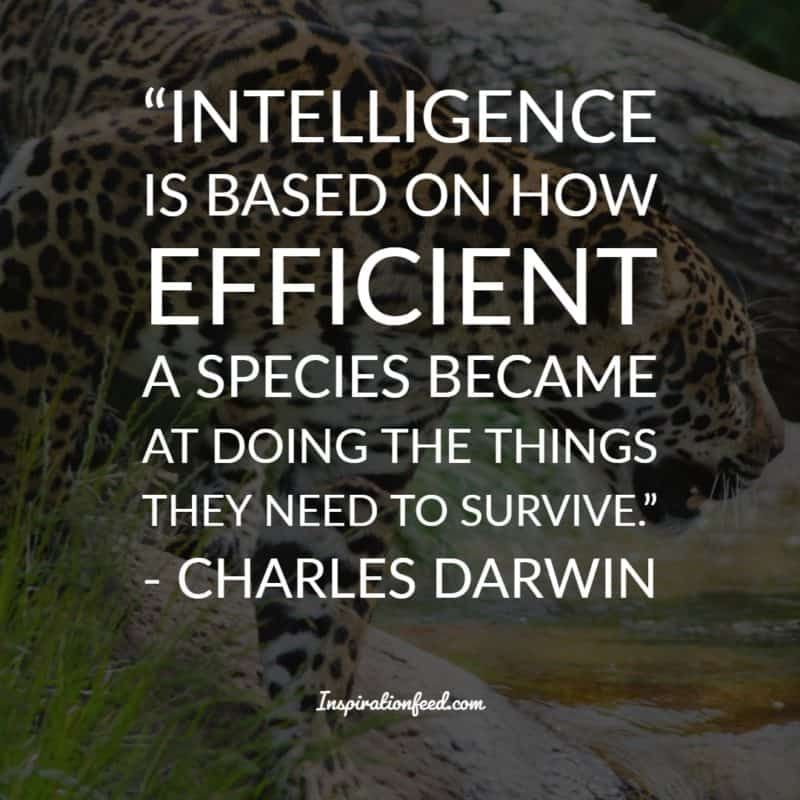 Charles Darwin Quotes