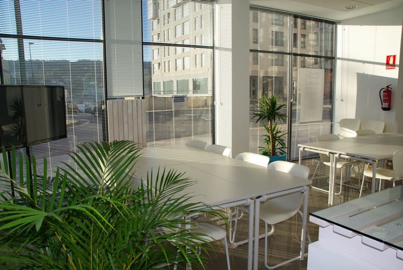 Modern office letting in morning sunshine