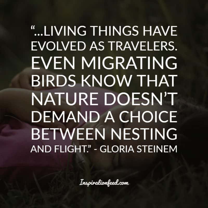 Gloria Steinem Quotes