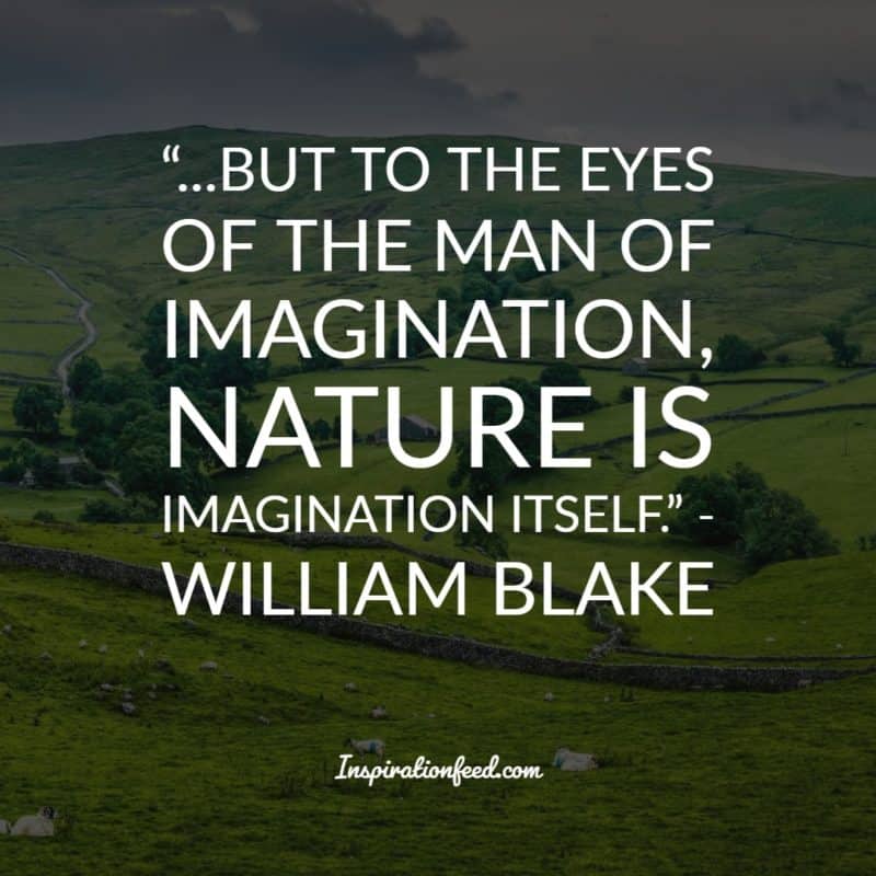 William Blake Quotes