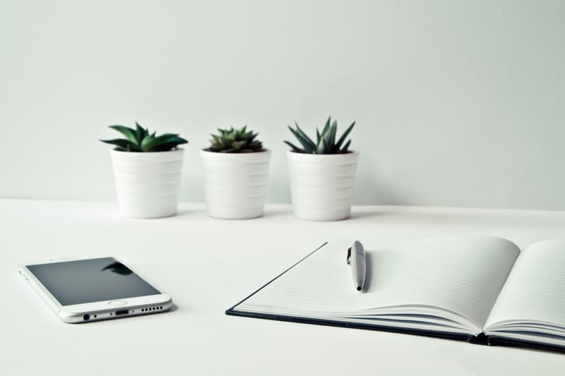 three-white-ceramic-pots-with-green-leaf-plants-near-open-notebook-with-click-pen-on-top