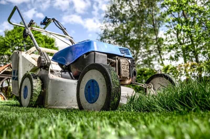 Blue lawn mower cutting grass close up