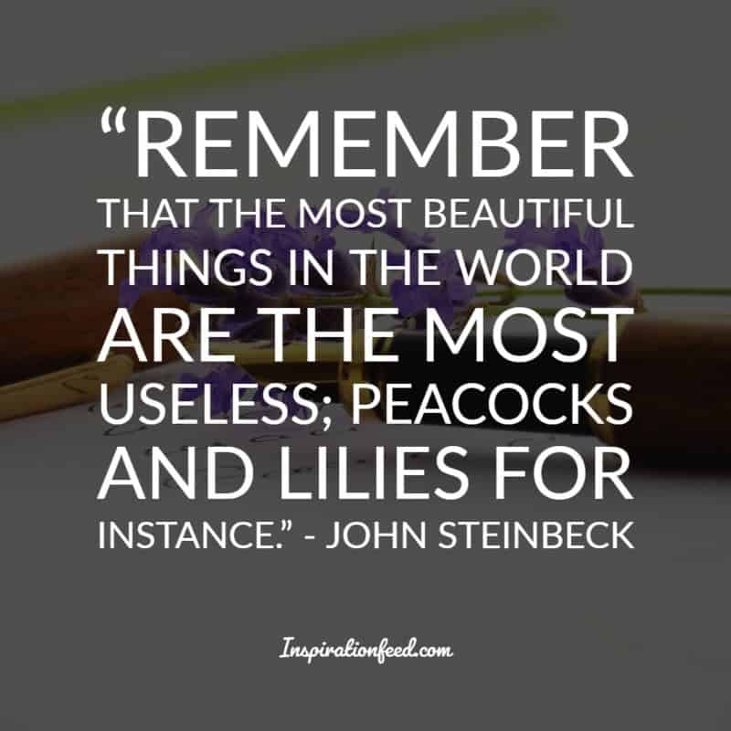 John Steinbeck Quotes 