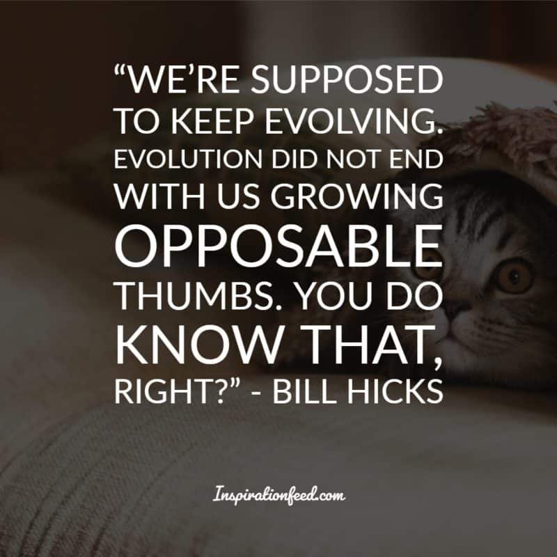 Bill Hicks Quotes