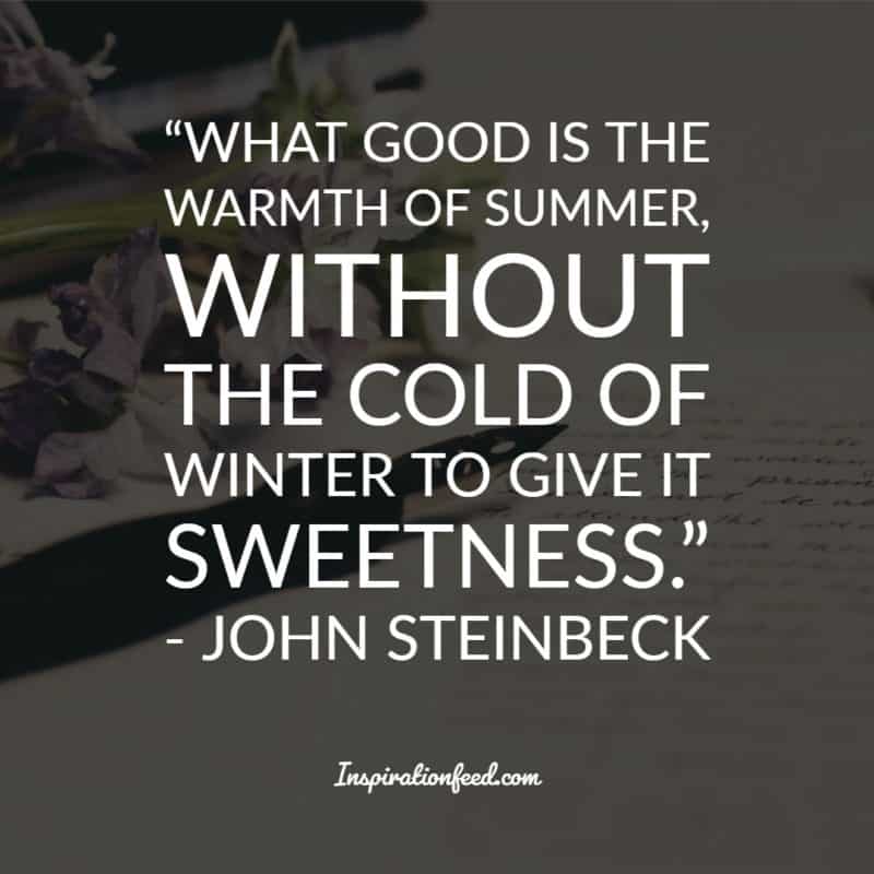 John Steinbeck Quotes 