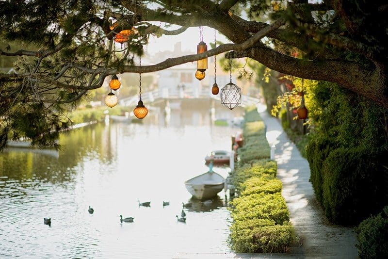 pendant lamp hanging on tree near river