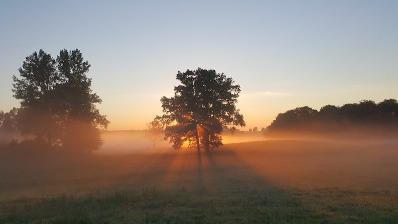 Orange glowing sunlight shining on a beautiful morning