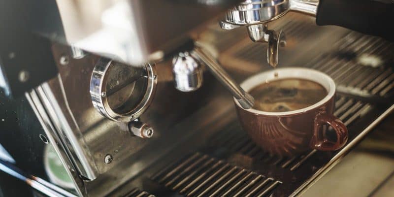 attractive bar barista breakfast