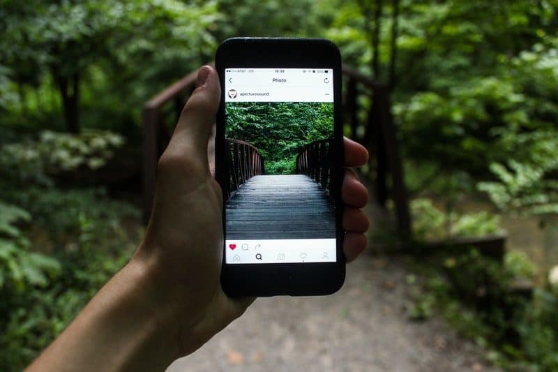 person holding smartphone to take a photo for instagram