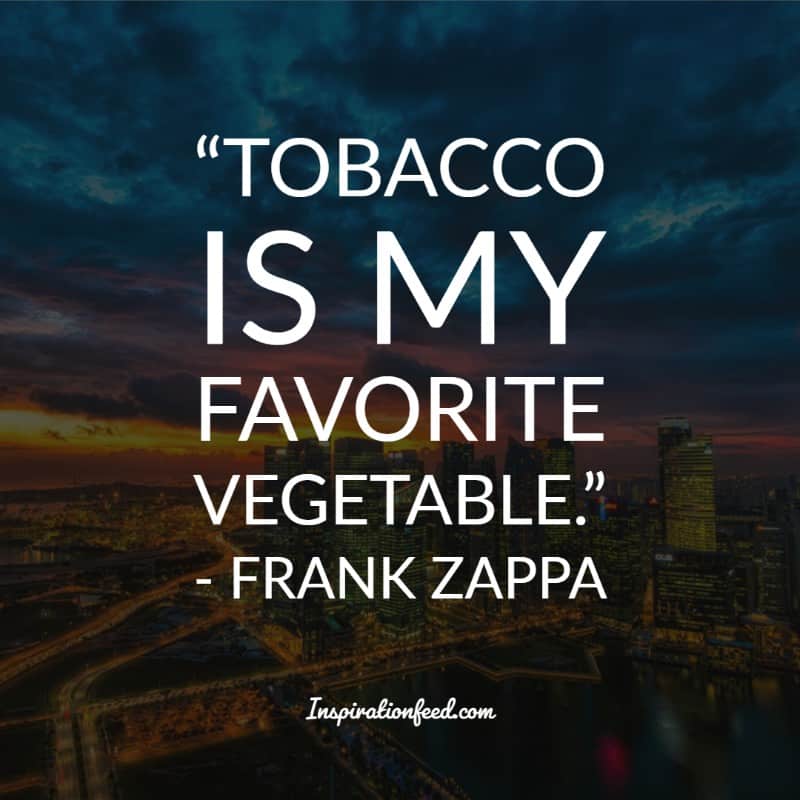 Frank Zappa Quotes