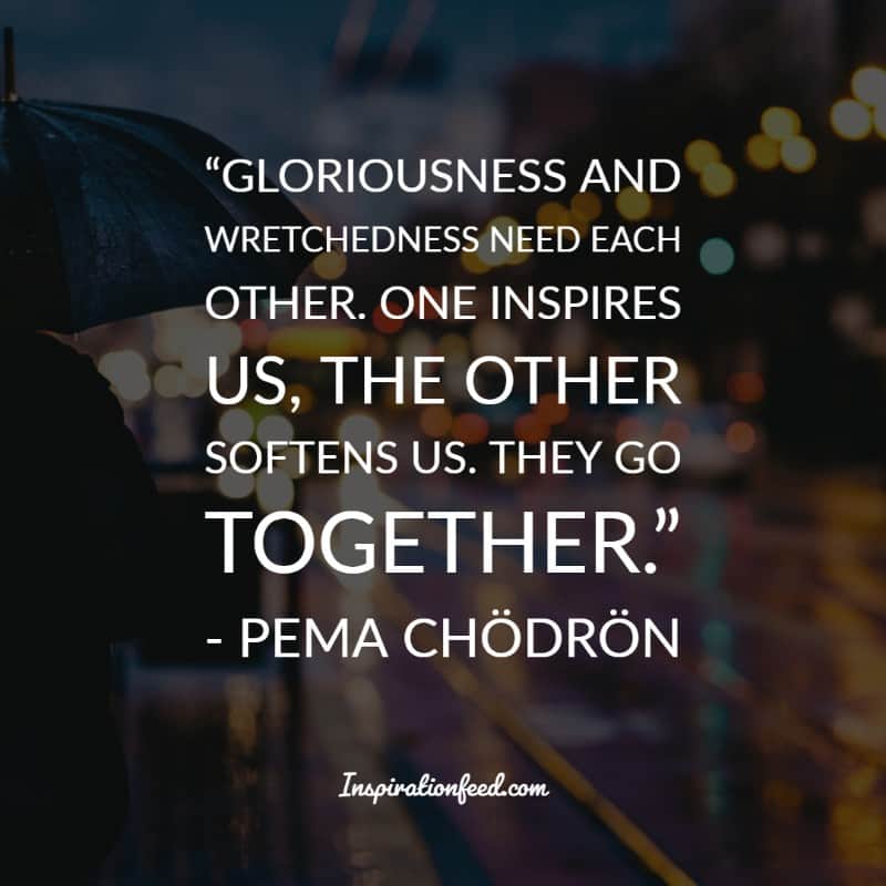 Pema Chodron Quotes