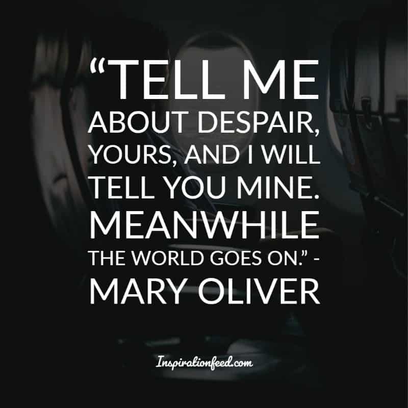 Mary Oliver Quotes