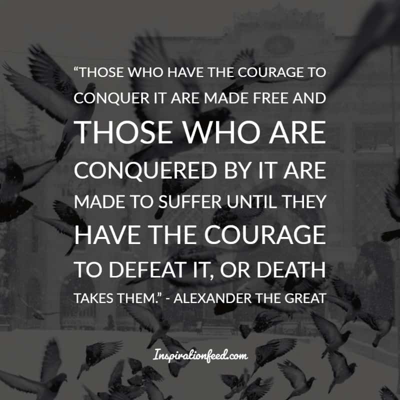 Alexander the Great Quotes