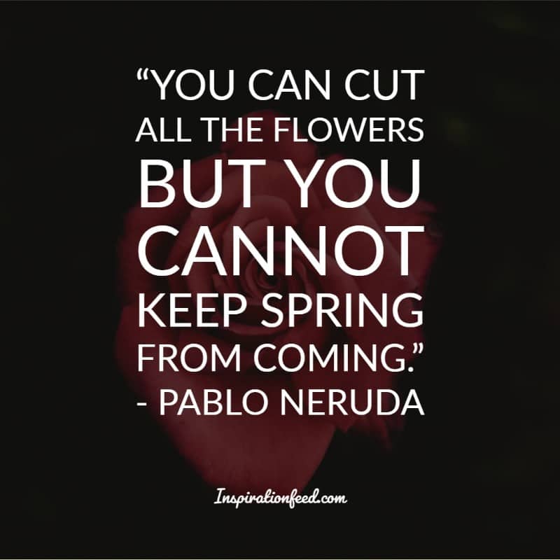 Pablo Neruda Quotes