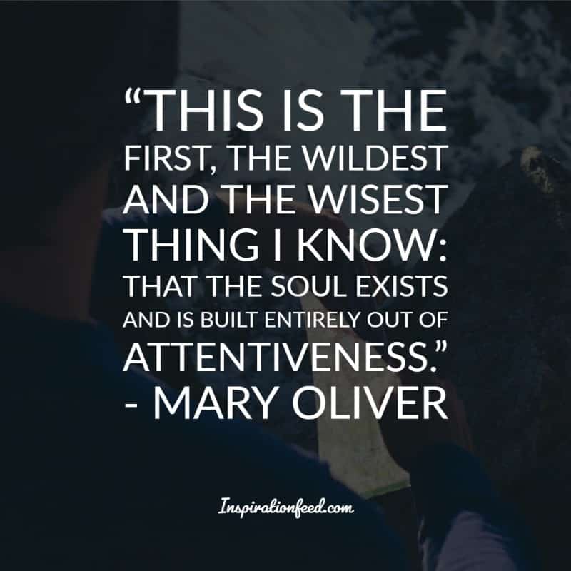 Mary Oliver Quotes