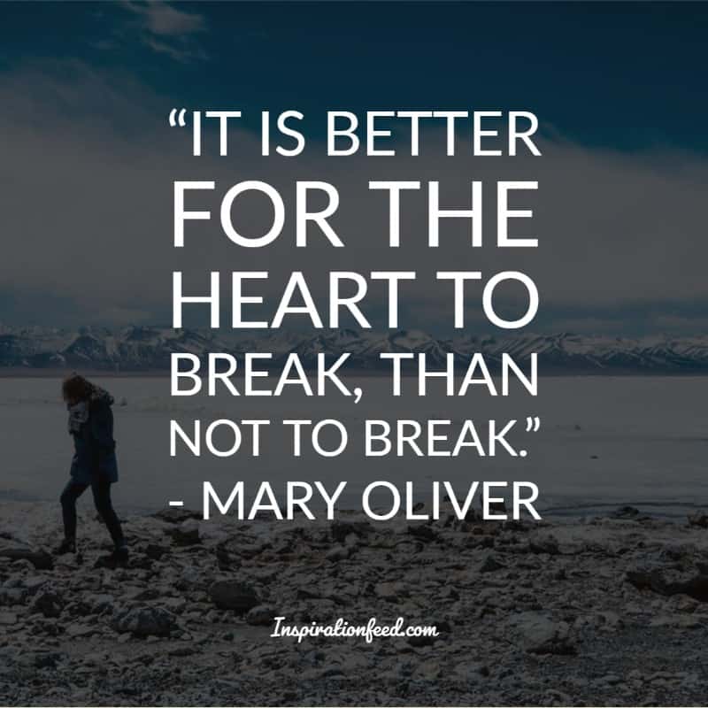 Mary Oliver Quotes