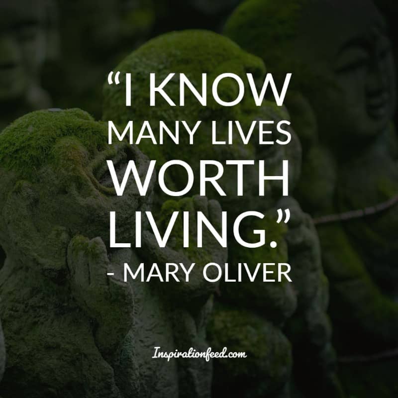 Mary Oliver Quotes