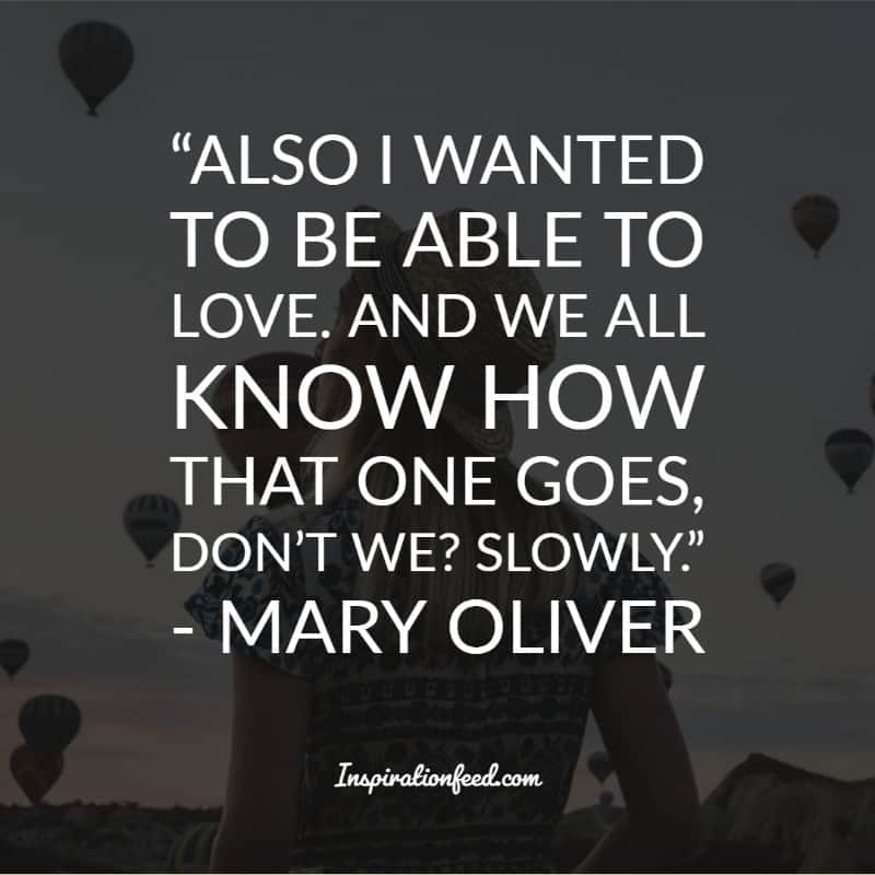 Mary Oliver Quotes