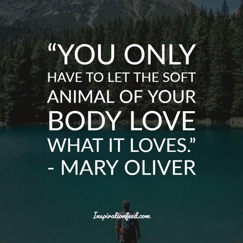 Mary Oliver Quotes