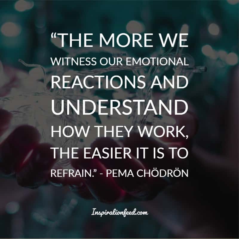 Pema Chodron Quotes