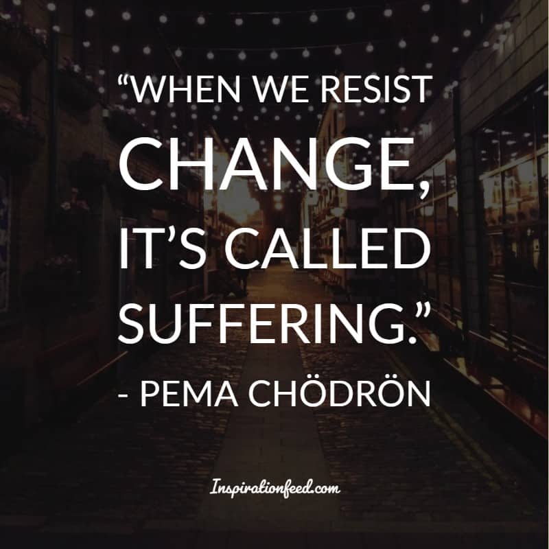 Pema Chodron Quotes