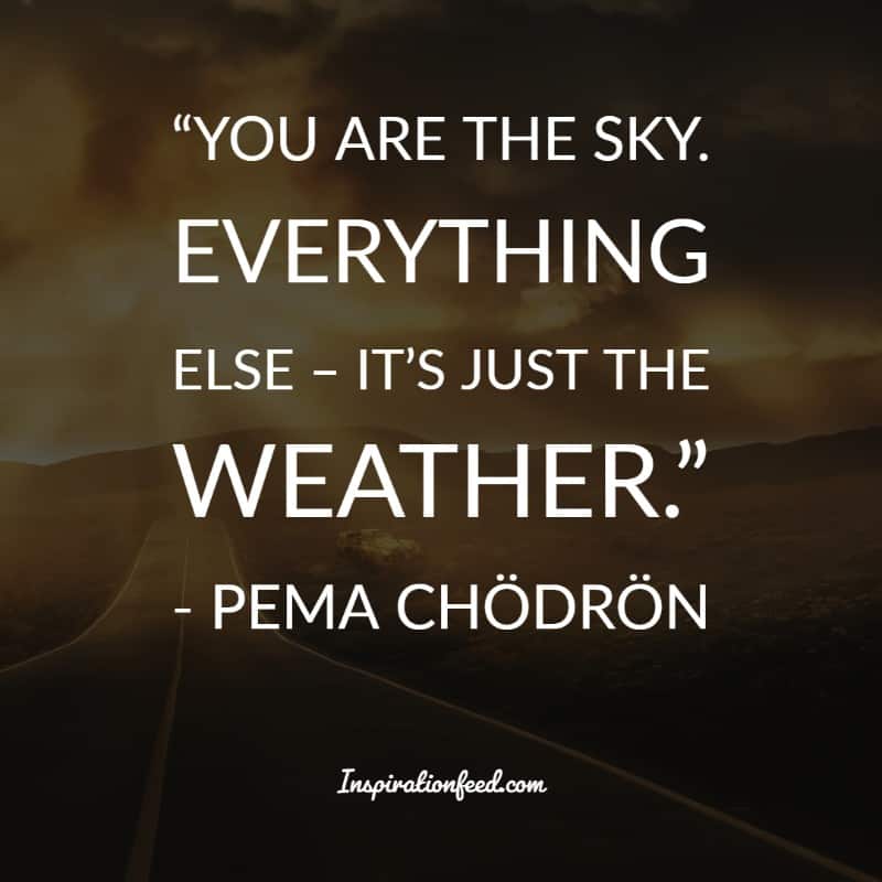 Pema Chodron Quotes