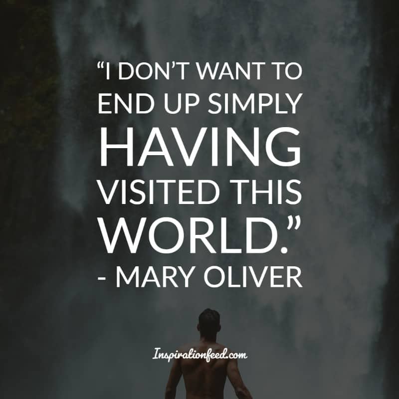 Mary Oliver Quotes